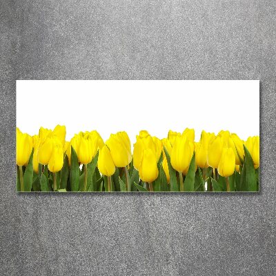 Foto op plexiglas Gele tulpen