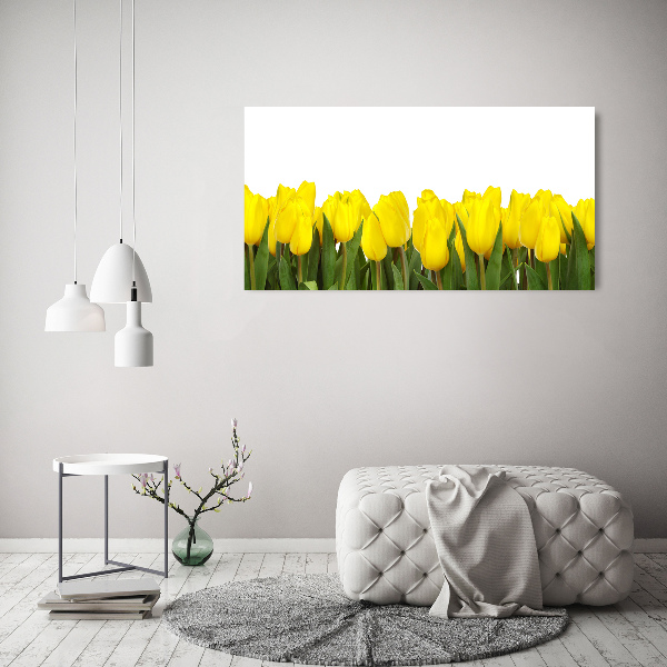 Foto op plexiglas Gele tulpen