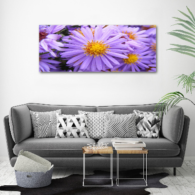 Plexiglas foto Asters