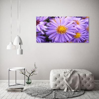 Plexiglas foto Asters