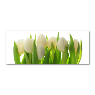 Foto plexiglas Tulpen