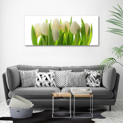 Foto plexiglas Tulpen