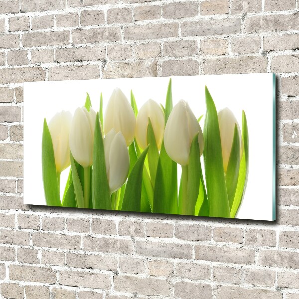 Foto plexiglas Tulpen