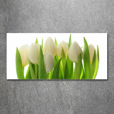 Foto plexiglas Tulpen