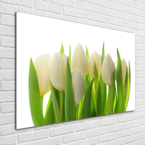 Foto plexiglas Tulpen