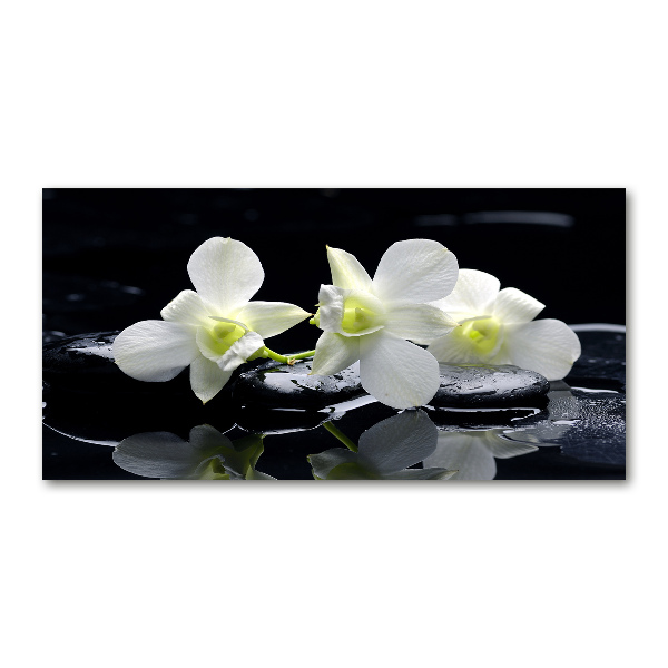 Schilderij op acrylglas Orchidee