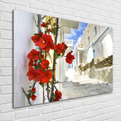 Foto in plexiglas Mykonos, Griekenland