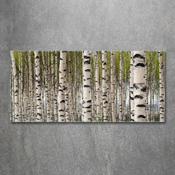 Plexiglas foto Berkenbos