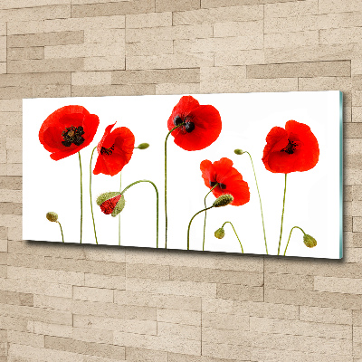 Schilderij op acrylglas Klaprozen