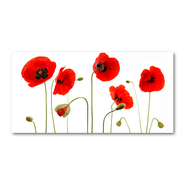 Schilderij op acrylglas Klaprozen