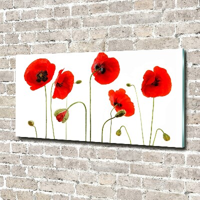 Schilderij op acrylglas Klaprozen