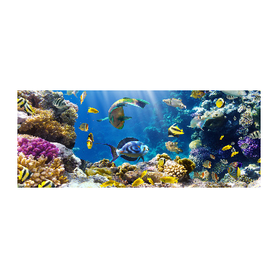 Plexiglas foto Koraalrif