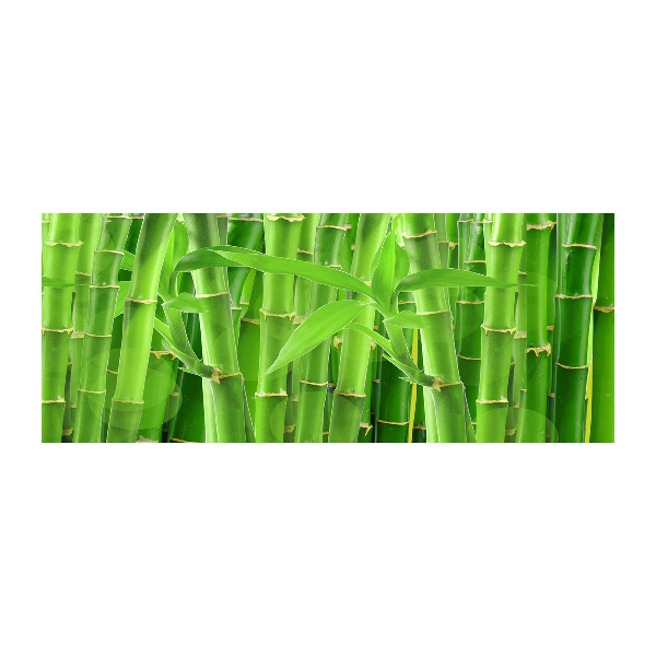 Plexiglas schilderij Bamboe