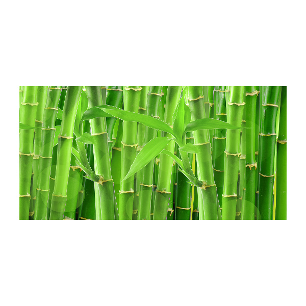 Plexiglas schilderij Bamboe