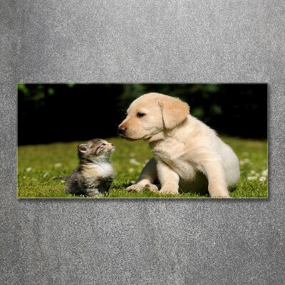 Foto plexiglas Hond en kat in de wei