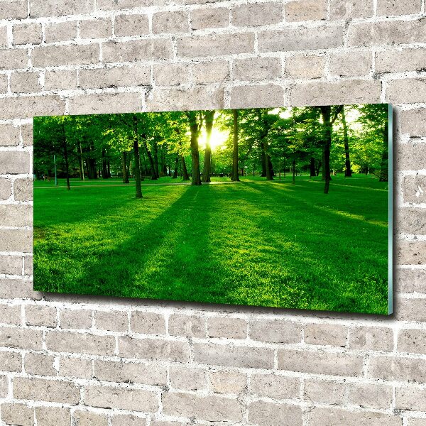 Foto plexiglas Gras in het park