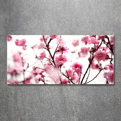 Schilderij op acrylglas Pruimenbloesem