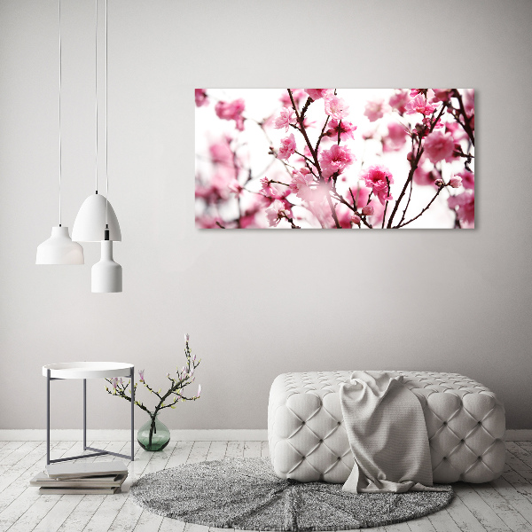 Schilderij op acrylglas Pruimenbloesem