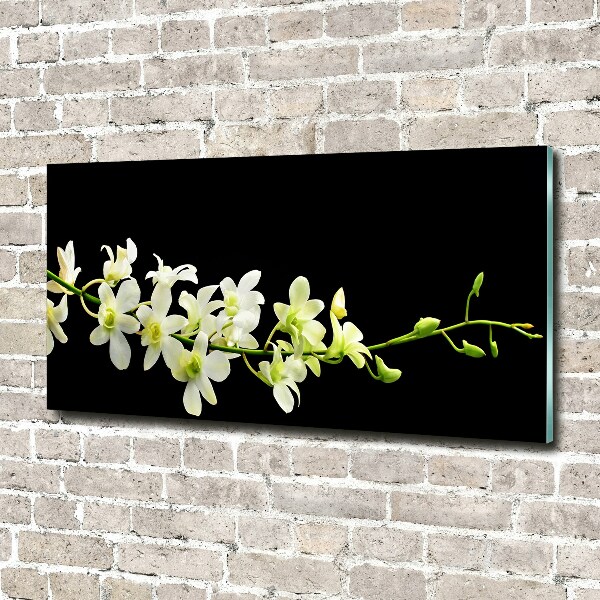 Plexiglas schilderij Orchidee