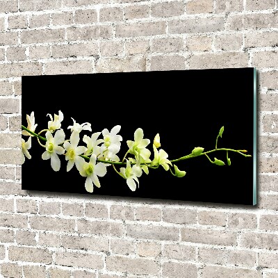 Plexiglas schilderij Orchidee