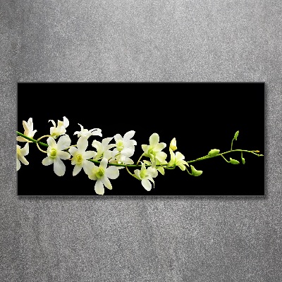 Plexiglas schilderij Orchidee