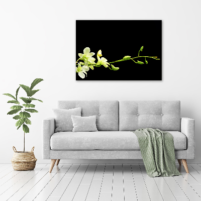 Plexiglas schilderij Orchidee