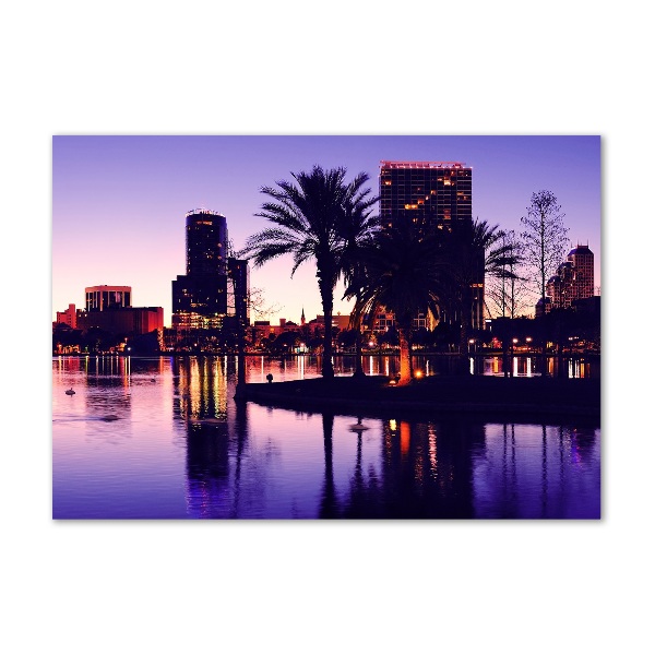 Foto plexiglas Orlando, VS