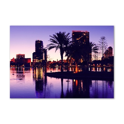 Foto plexiglas Orlando, VS