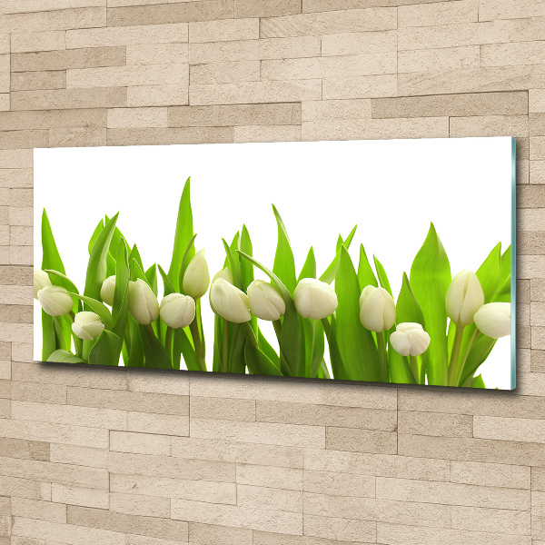 Foto op plexiglas Witte tulpen