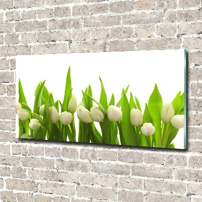 Foto op plexiglas Witte tulpen