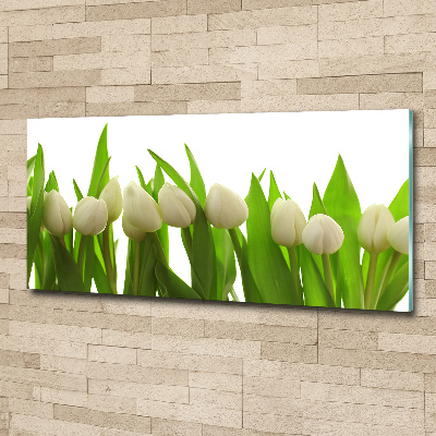 Plexiglas foto Witte tulpen