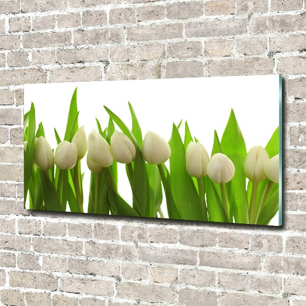 Plexiglas foto Witte tulpen
