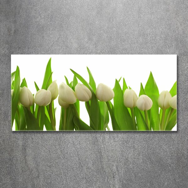 Plexiglas foto Witte tulpen