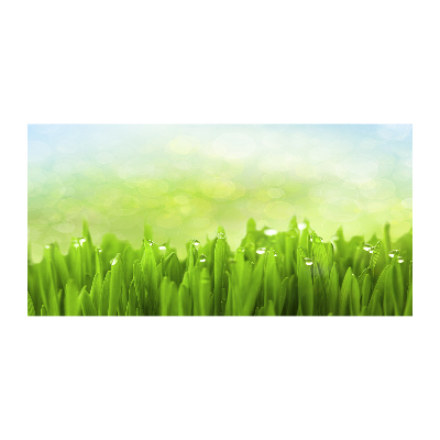 Schilderij op acrylglas Gras