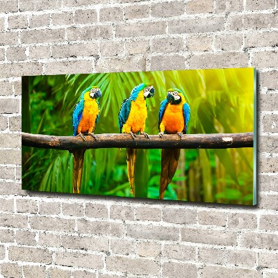 Foto op plexiglas Papegaaien op een tak