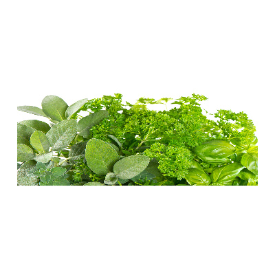 Foto op plexiglas Kruiden