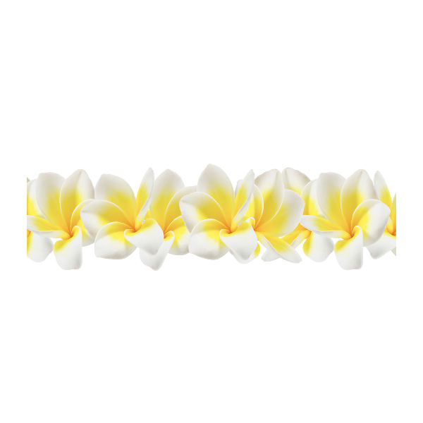 Plexiglas foto Plumeria