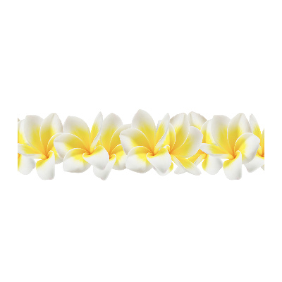 Plexiglas foto Plumeria