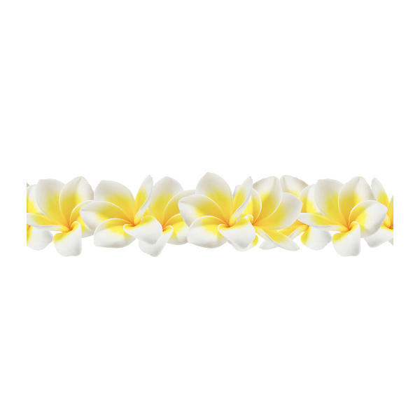 Plexiglas foto Plumeria