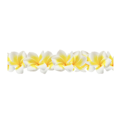 Plexiglas foto Plumeria
