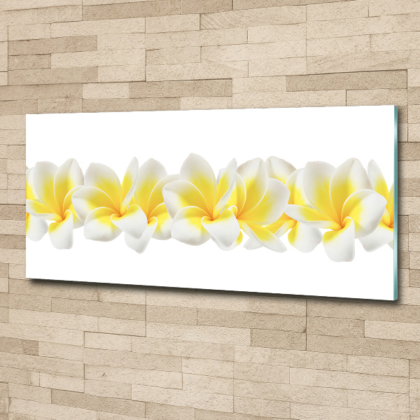 Plexiglas foto Plumeria