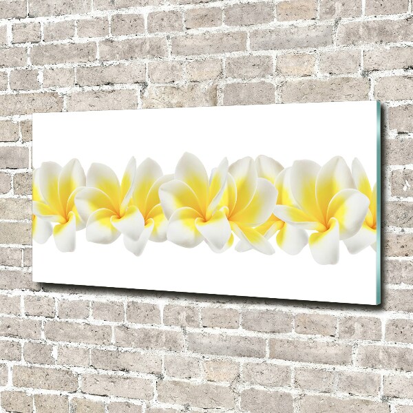Plexiglas foto Plumeria