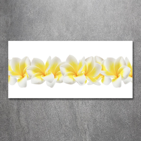 Plexiglas foto Plumeria