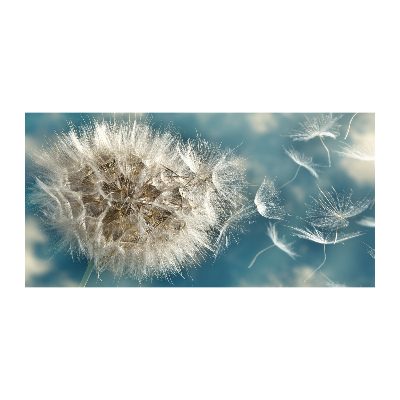 Foto plexiglas Paardenbloemen