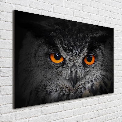 Foto plexiglas Duivelse uilenogen
