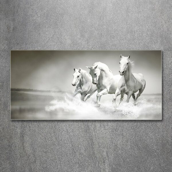 Schilderij op acrylglas Witte paarden