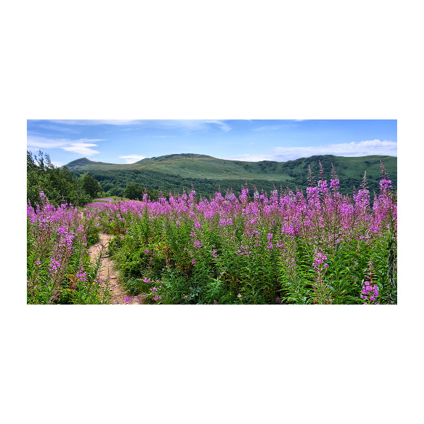 Plexiglas schilderij Groene heuvels