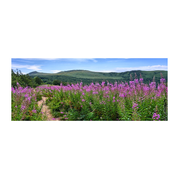 Plexiglas schilderij Groene heuvels