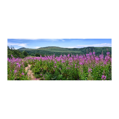 Plexiglas schilderij Groene heuvels