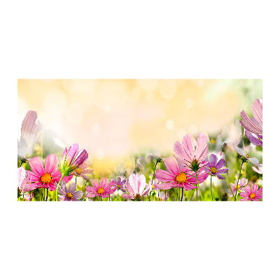 Schilderij op acrylglas Klaprozen